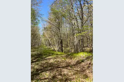 W6474 River Road, Trego, WI 54888 - Photo 19