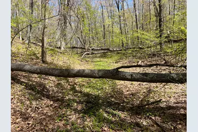 W6474 River Road, Trego, WI 54888 - Photo 9