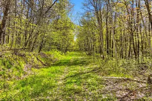 W6474 River Rd, Trego, WI 54888 - Photo 1