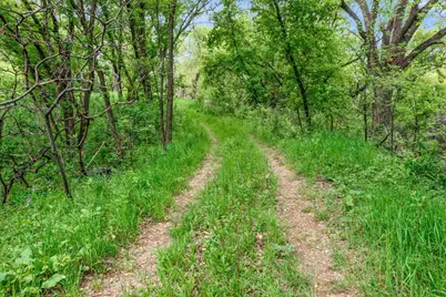 12290 62nd Street NW, Annandale, MN 55302 - Photo 5