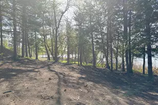 25494 Heilberger Ln, Erhard, MN 56534 - Photo 39