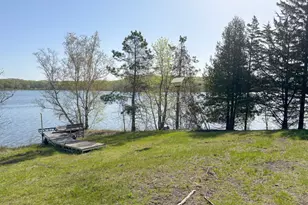 25494 Heilberger Ln, Erhard, MN 56534 - Photo 41