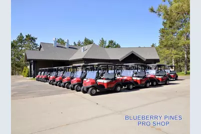 12153 Blueberry Loop #23, Menahga, MN 56464 - Photo 41