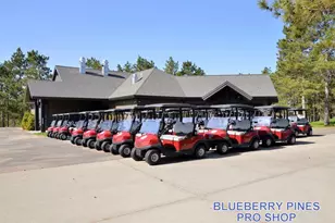 12153 Blueberry Loop, Menahga, MN 56464 - Photo 41