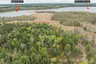 Tbd Chokecherry Dr, Nevis, MN 56467 - Photo 1