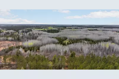 36046 229th Avenue, Menahga, MN 56464 - Photo 25