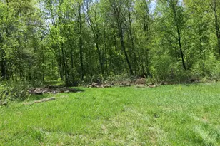 Xxx 810th Ave, Boyceville, WI 54751 - Photo 1