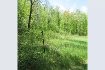 Xxx 810th Street, Boyceville, WI 54751 - Photo 1