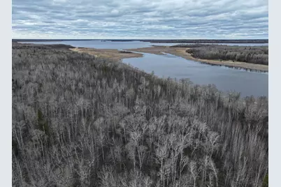 7710 Youngs Bay Drive NW, Angle Inlet, MN 56711 - Photo 5