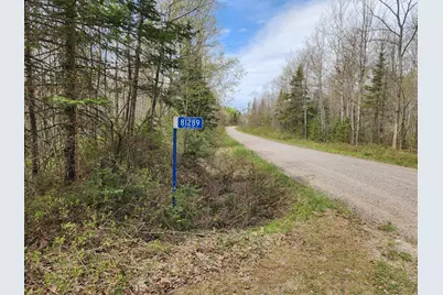 81289 East Side Fire Lane, Glidden, WI 54514 - Photo 19