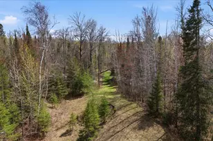 10454 Hwy 92, Hibbing, MN 55746 - Photo 57