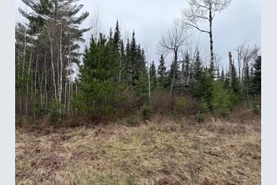 Tbd Scout Camp Road, Eveleth, MN 55734 - Photo 15