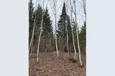 Tbd Scout Camp Road, Eveleth, MN 55734 - Photo 13