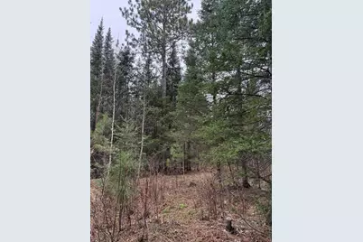 Tbd Scout Camp Road, Eveleth, MN 55734 - Photo 11