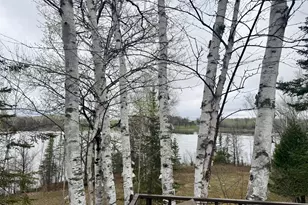 1616 Town Rd 117, Baudette, MN 56623 - Photo 21