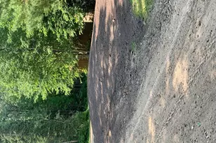 1616 Town Rd 117, Baudette, MN 56623 - Photo 25