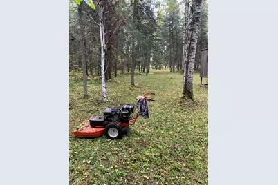 1616 Town Road 117, Baudette, MN 56623 - Photo 23