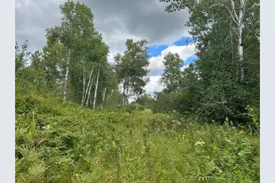 Tbd2 Duncan Road, Sandstone, MN 55072 - Photo 5