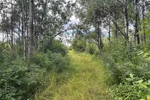 Tbd2 Duncan Rd, Sandstone, MN 55072 - Photo 1