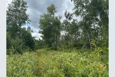 Tbd2 Duncan Road, Sandstone, MN 55072 - Photo 11