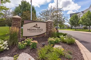 100 Clydesdale Trail, Medina, MN 55340 - Photo 47