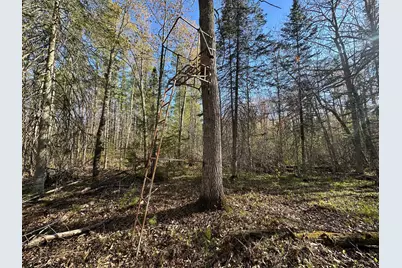 Tbd #1 110th Avenue, Finlayson, MN 55735 - Photo 3