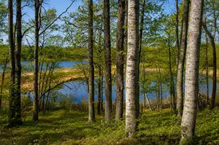 13579 Hillcrest Ln SW, Pillager, MN 56473 - Photo 3