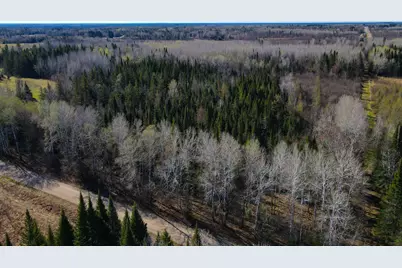 Parcel A Township Road D, Wawina, MN 55736 - Photo 5
