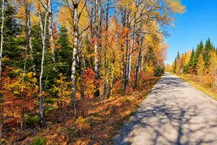 Parcel B Township Road D, Wawina, MN 55736 - Photo 1