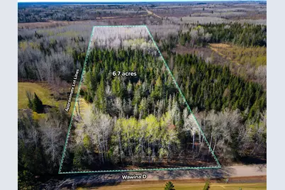 Parcel B Township Road D, Wawina, MN 55736 - Photo 1