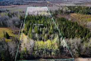 Parcel B Township Road D, Wawina, MN 55736 - Photo 1