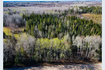 Parcel B Township Road D, Wawina, MN 55736 - Photo 3