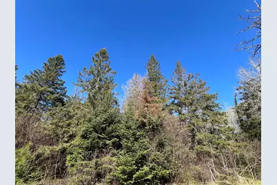 Parcel B Township Road D, Wawina, MN 55736 - Photo 5