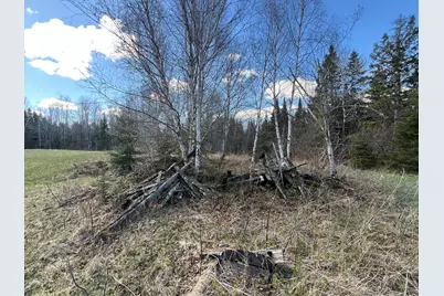 12905 Township Road D, Wawina, MN 55736 - Photo 13