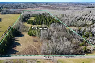 Parcel D Township Road D, Wawina, MN 55736 - Photo 1