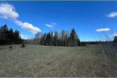 Parcel D Township Road D, Wawina, MN 55736 - Photo 7