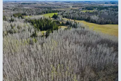 Parcel D Township Road D, Wawina, MN 55736 - Photo 21