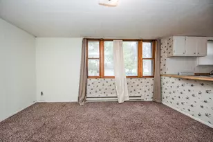 313 Elizabeth St, Detroit Lakes, MN 56501 - Photo 31