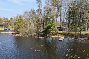 36607 Harbor Trail, Pequot Lakes, MN 56472 - Photo 3