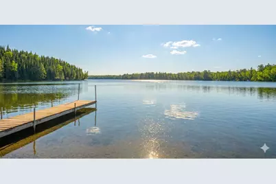 53549 Little Bear Trail, Bigfork, MN 56657 - Photo 1