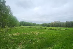 24343 US Hwy 169, Milaca, MN 56353 - Photo 5
