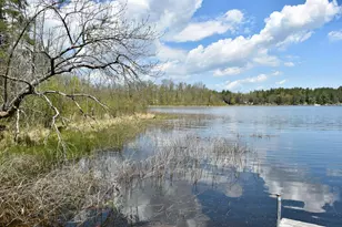 331 S Lake Lawrence Rd NE, Outing, MN 56662 - Photo 25