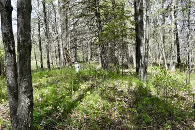 331 S Lake Lawrence Road NE, Outing, MN 56662 - Photo 47