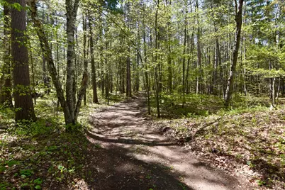 331 S Lake Lawrence Road NE, Outing, MN 56662 - Photo 49