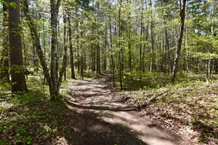 331 S Lake Lawrence Rd NE, Outing, MN 56662 - Photo 49