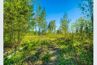 Tbd S Thunder Lake Drive NE, Remer, MN 56672 - Photo 7