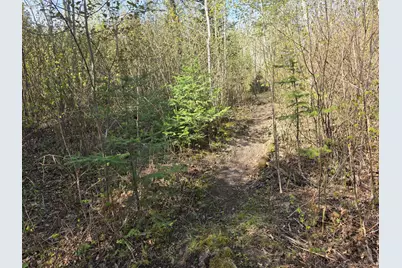 Tbd S Thunder Lake Drive NE, Remer, MN 56672 - Photo 5
