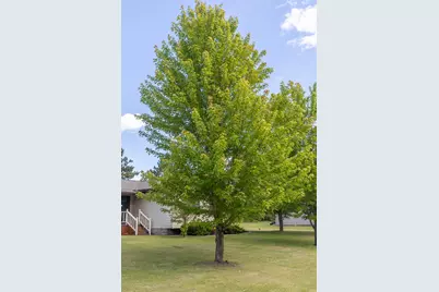 6834 Dickinson Drive NW, Bemidji, MN 56601 - Photo 125