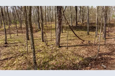 6000 N Bass Lake Drive NE, Remer, MN 56672 - Photo 13