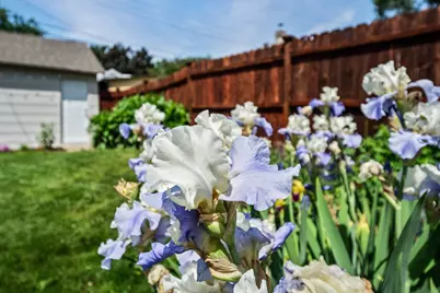 4348 12th Avenue S, Minneapolis, MN 55407 - Photo 47